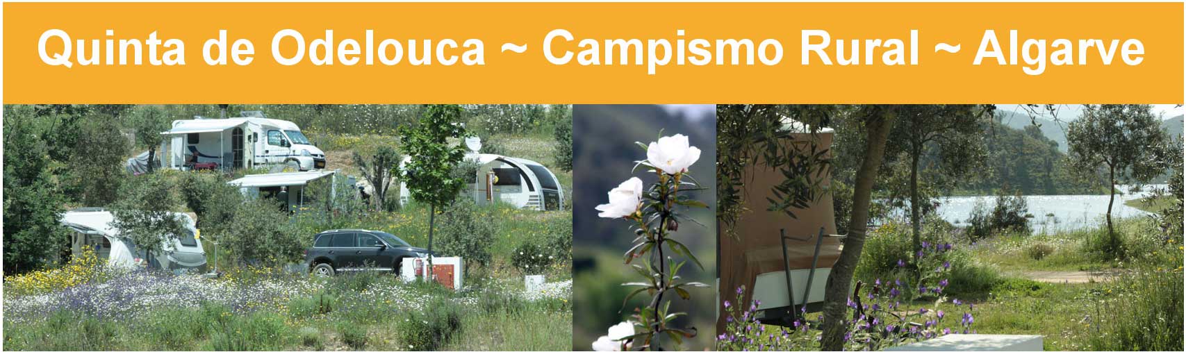 Camping Quinta de Odelouca, Algarve