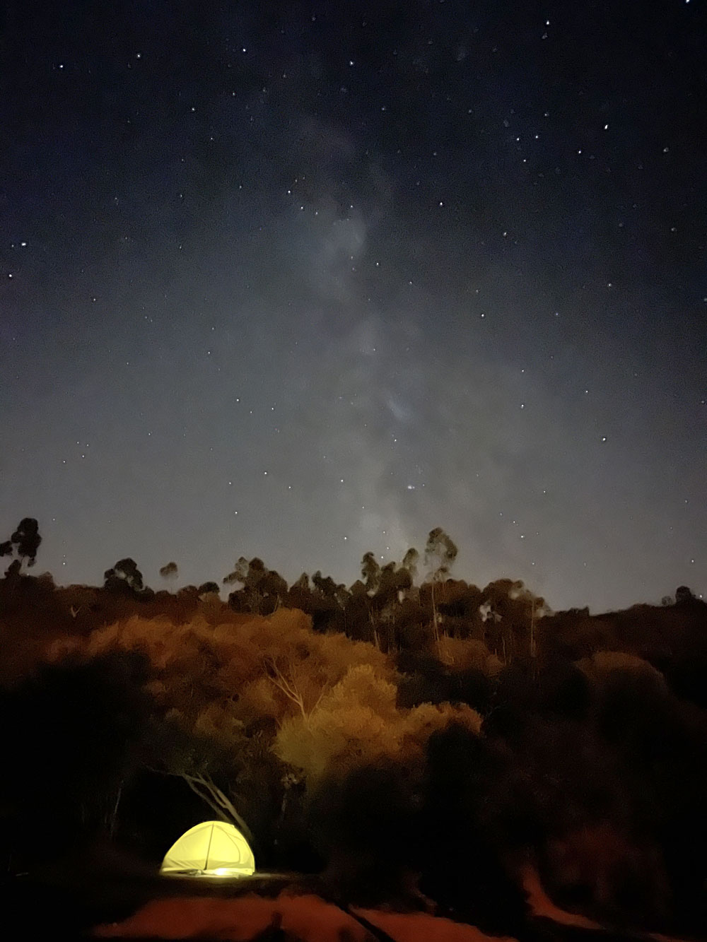 Starry starry night, milky way on Quinta de Odelouca, Algarve