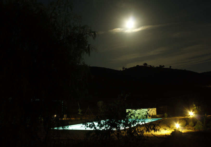 moon above pool