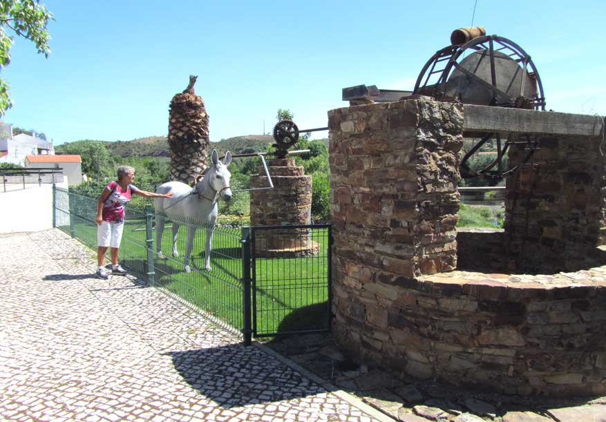ezel aan de put in São Marcos da Serra, Algarve