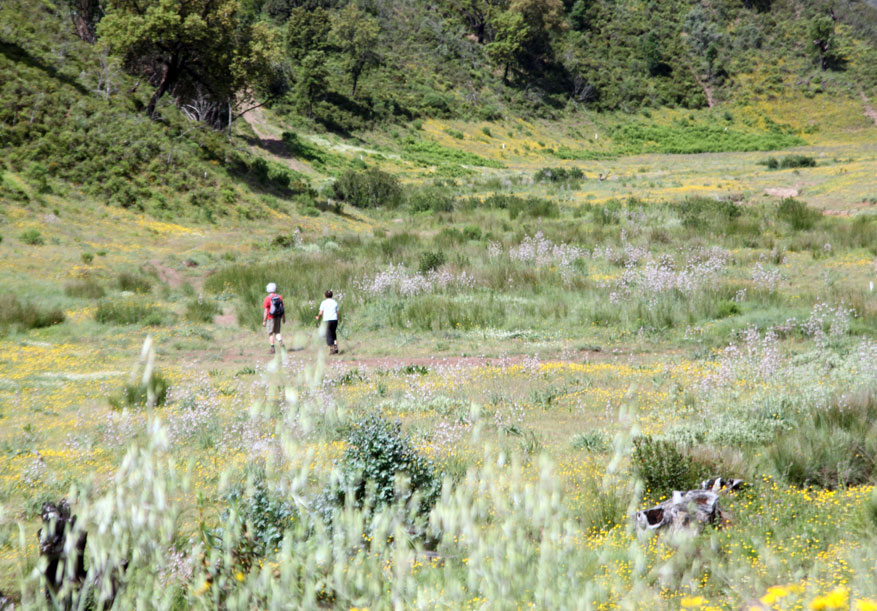 hiking in the Algarve, Vale Grande de Baixo, Camping Quinta de Odelouca